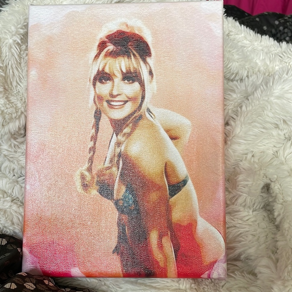 Canvas picture
